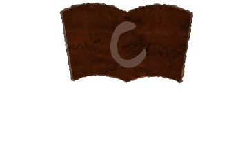 コンセプトConcept