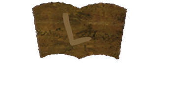 楽しみながら学ぶ【多読教育プログラム】LearningEnglish